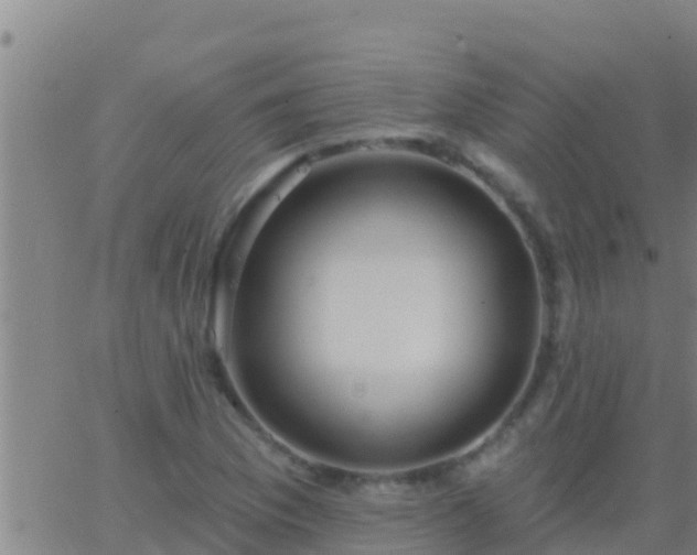 X0000063531169200601271854