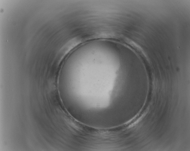 X0000063531170200601271853