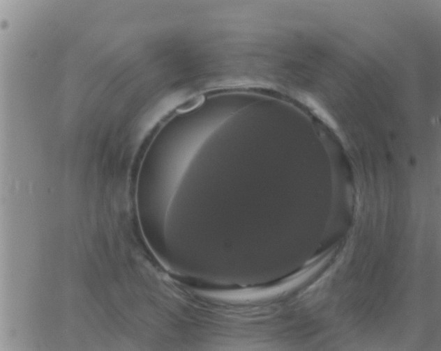 X0000063531173200601271853