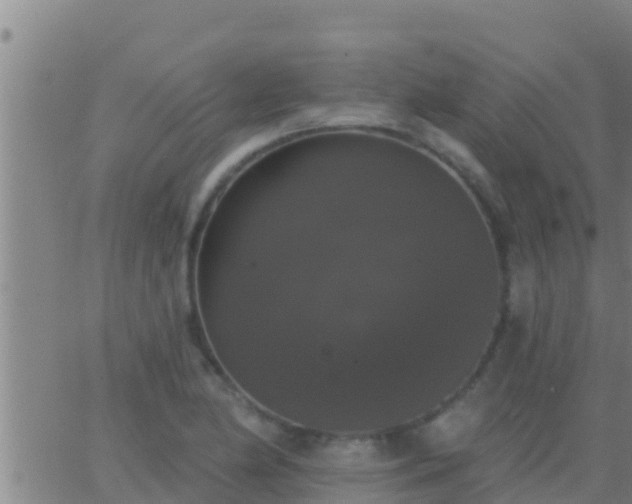 X0000063531174200601271853