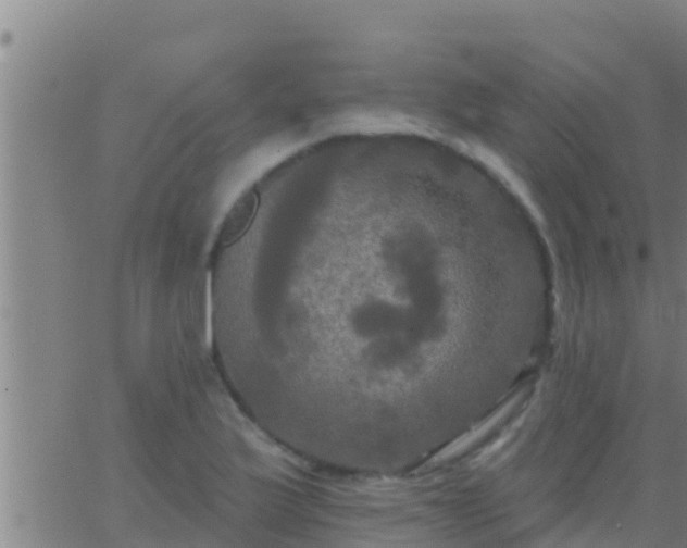 X0000063531175200601271853