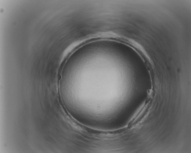 X0000063531176200601271853