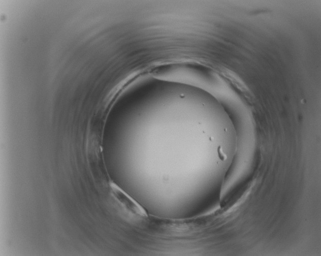 X0000063531177200601271853