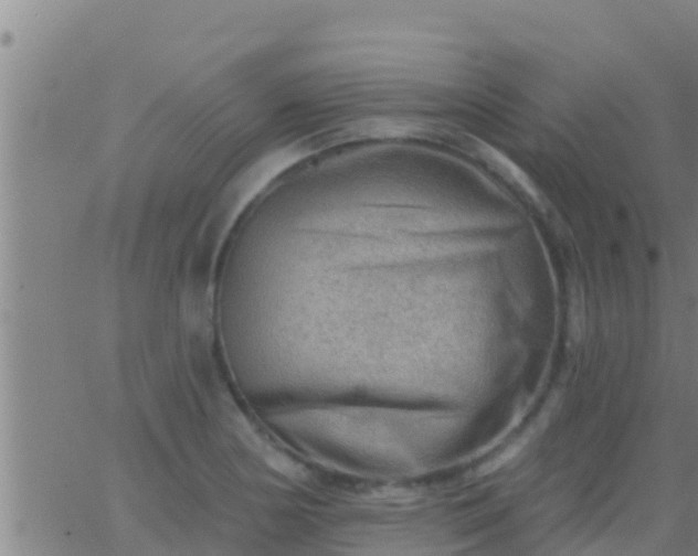 X0000063531178200601271853