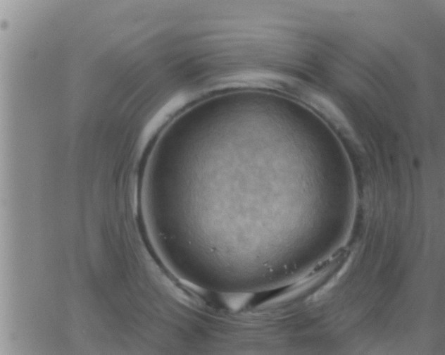 X0000063531180200601271853