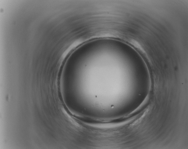 X0000063531181200601271853