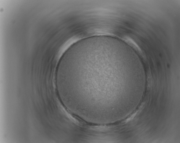 X0000063531182200601271853