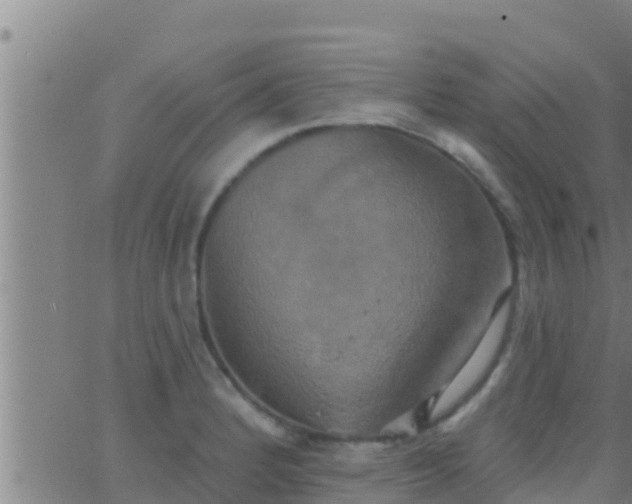 X0000063531184200601271853