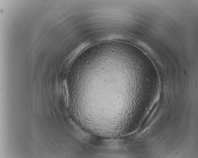 X0000063531185200601271853