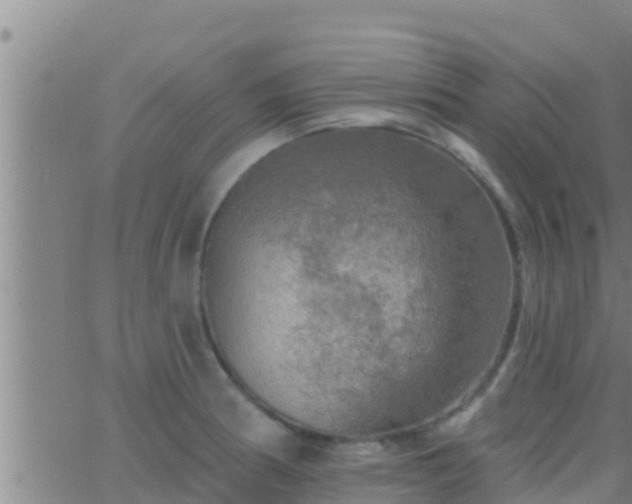 X0000063531186200601271853