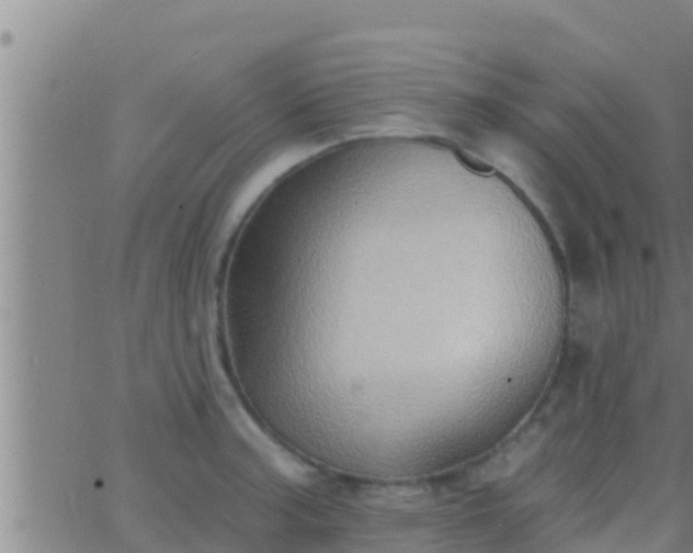 X0000063531187200601271853