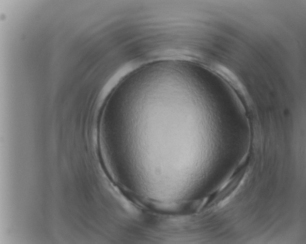 X0000063531188200601271853