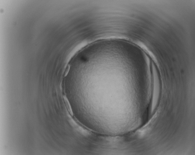 X0000063531189200601271853