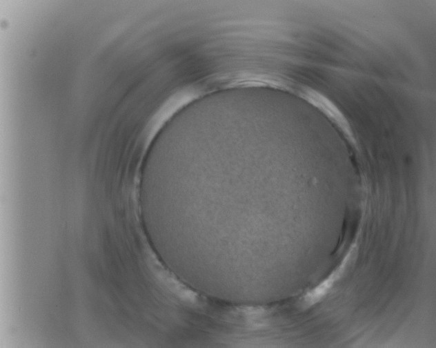 X0000063531190200601271853