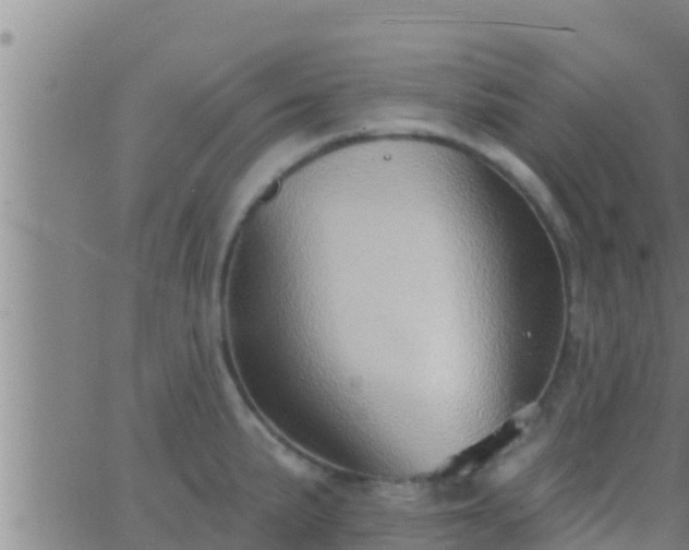 X0000063531191200601271853