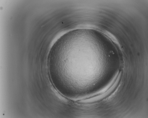 X0000063531192200601271853