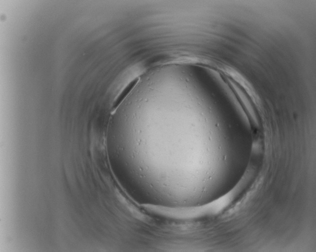 X0000063531193200601271853