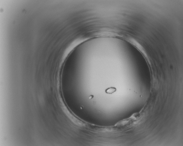 X0000063531195200601271853