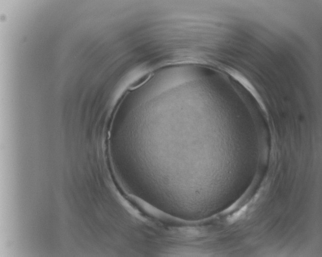 X0000063531197200601271853