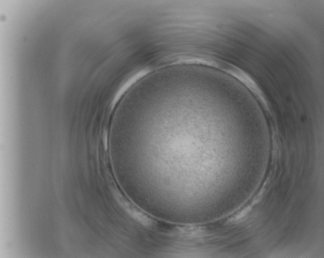 X0000063531198200601271853