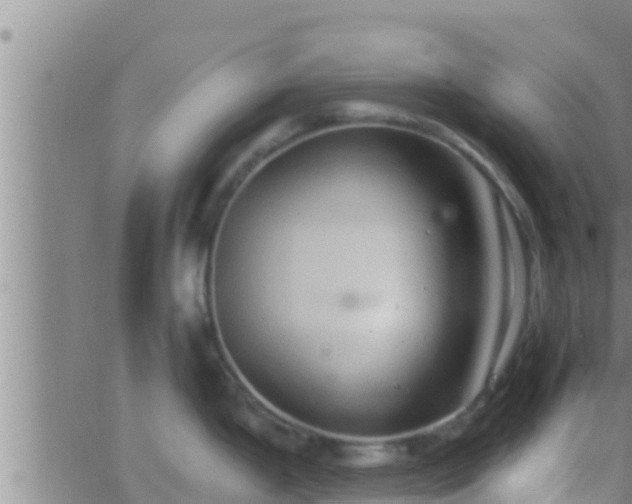 X0000063531199200601271853