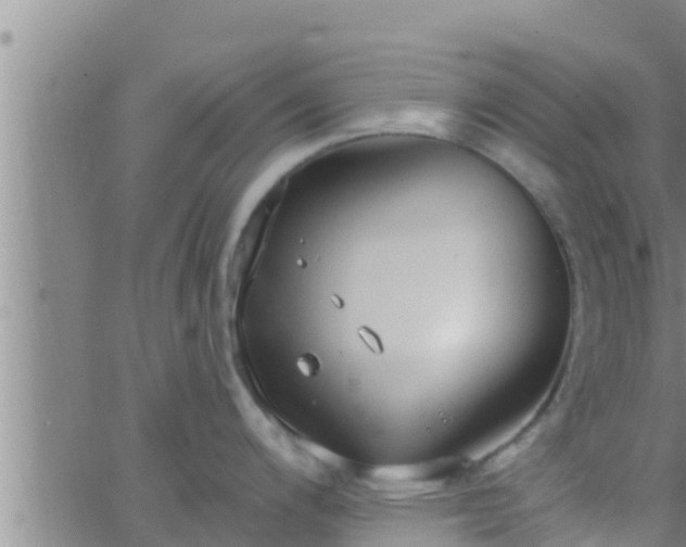 X0000063531200200601271853