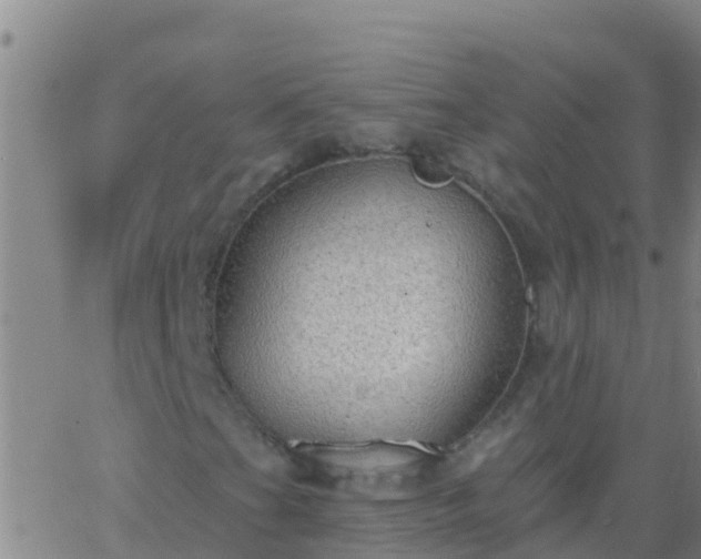 X0000063531201200601271852