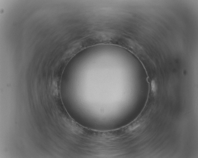 X0000063531203200601271852