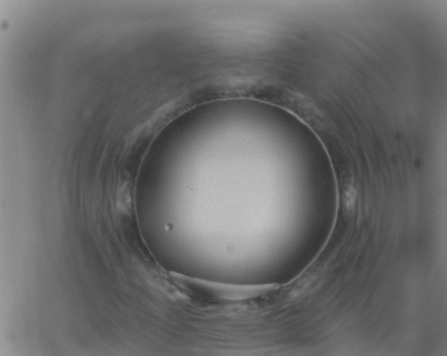 X0000063531204200601271852