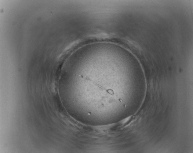 X0000063531205200601271852