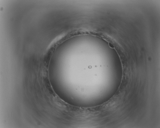 X0000063531207200601271852