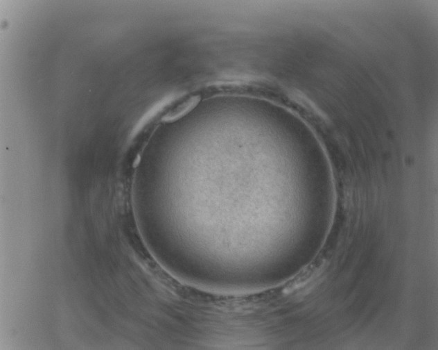 X0000063531208200601271852