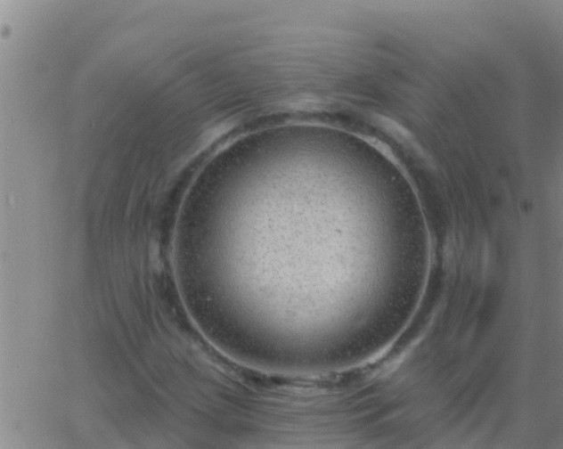 X0000063531209200601271852