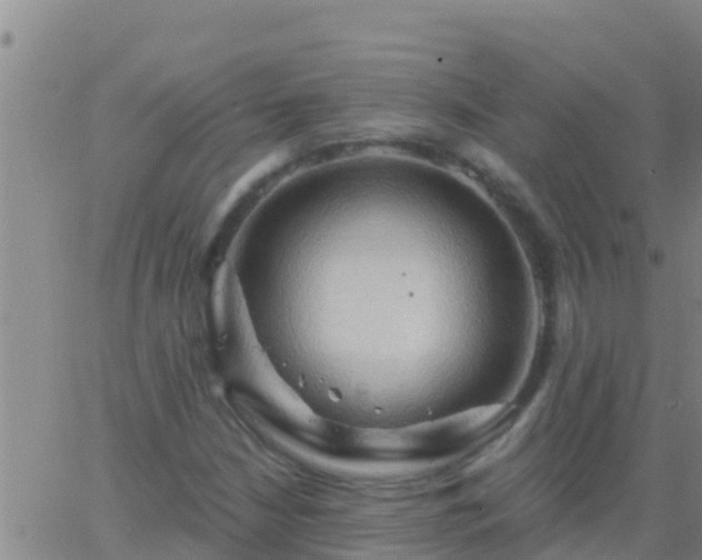 X0000063531210200601271852