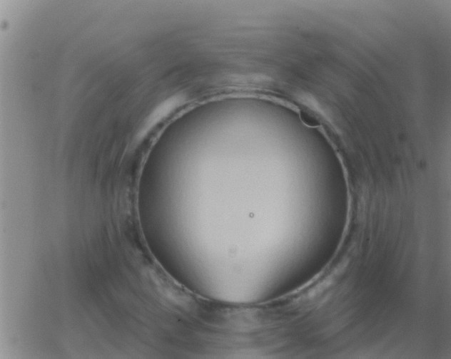 X0000063531211200601271852