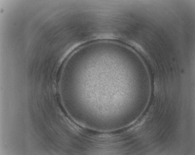 X0000063531212200601271852