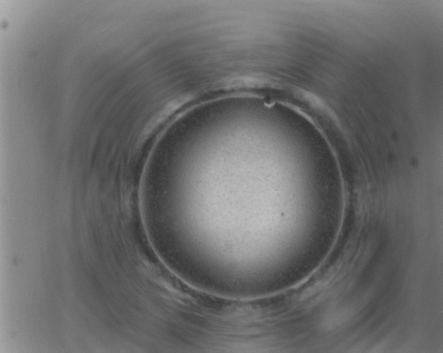 X0000063531217200601271852