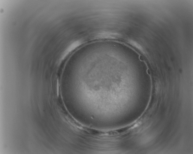 X0000063531219200601271853