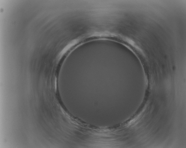 X0000063531221200601271853