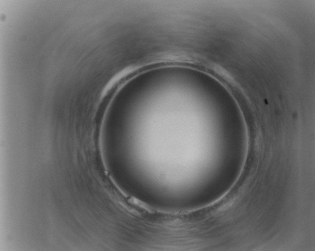 X0000063531222200601271853