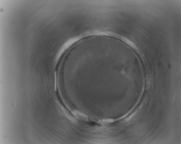 X0000063531223200601271853