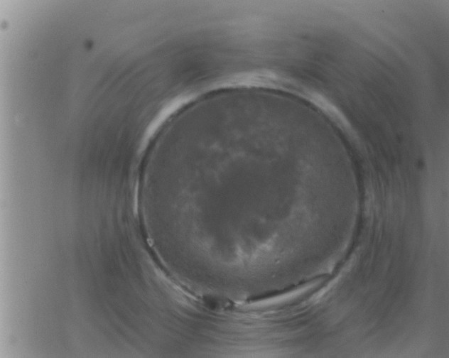 X0000063531224200601271853