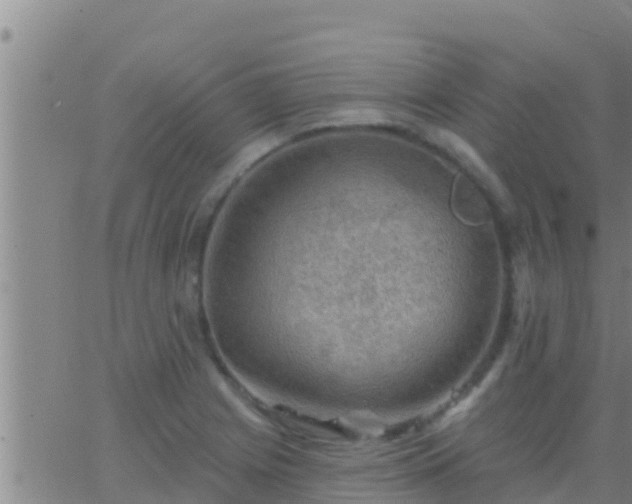 X0000063531225200601271853