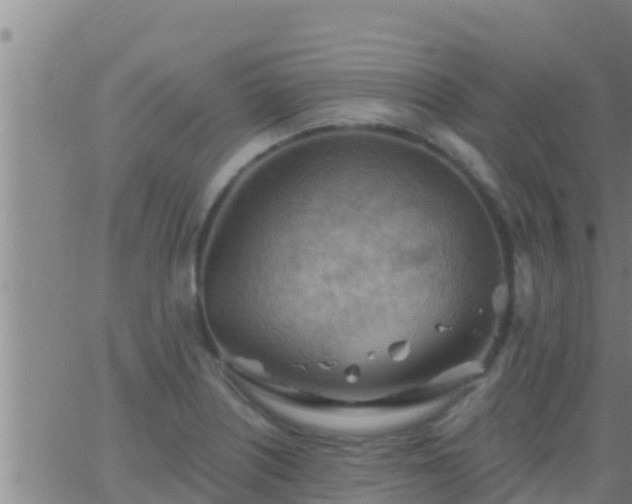 X0000063531226200601271853