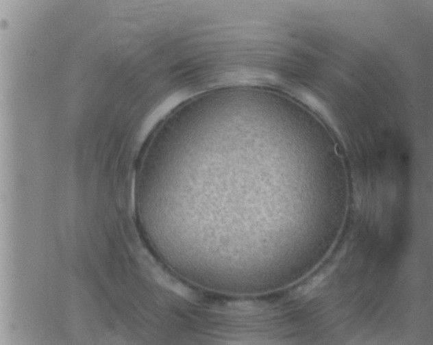 X0000063531227200601271853