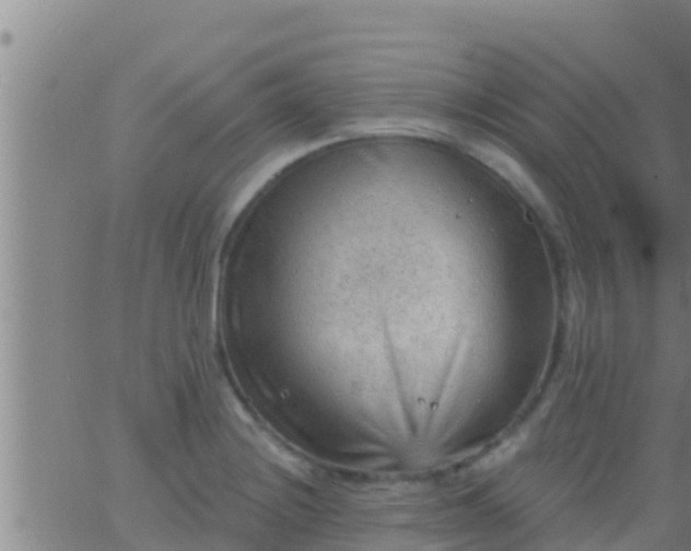 X0000063531228200601271853