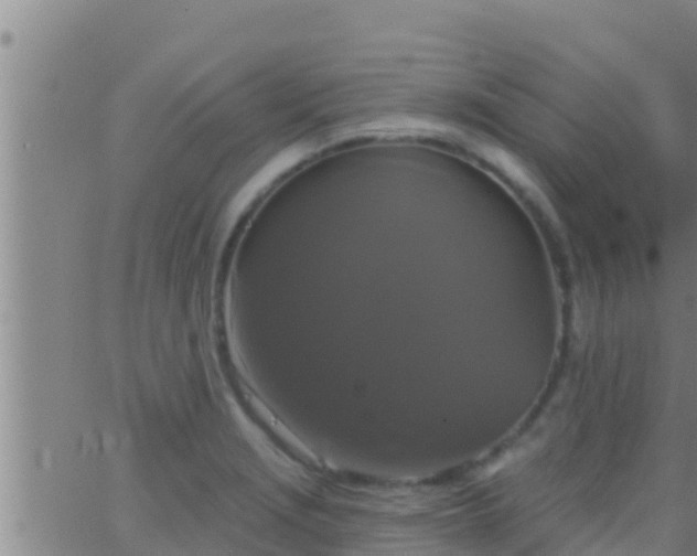 X0000063531229200601271853