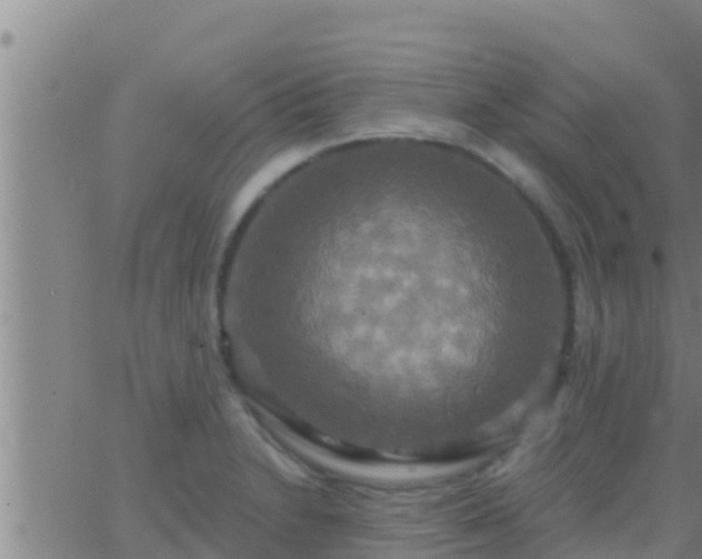 X0000063531230200601271853