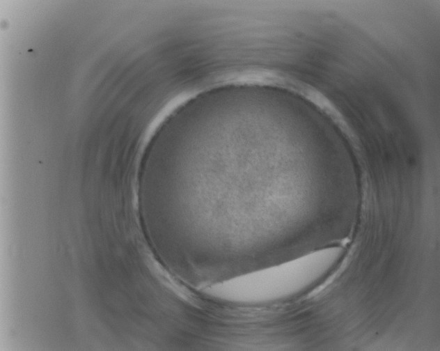 X0000063531232200601271853