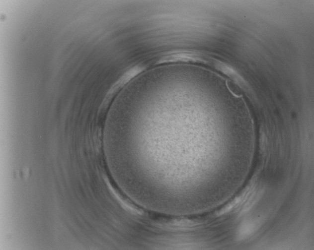 X0000063531233200601271853